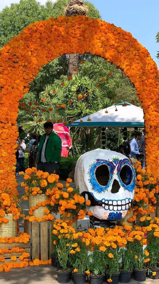 Book to next year now! 🇲🇽 .👉 Save this post toorganize your next tour to #Morelia!www.alfredotourguide.mx alfredotourguide@gmail.comCredits: Alfredo Tour Guide/authors #alfredotourguide.#tourswithalfredo #itsalfredo  #privateguide #privatetours #kuinchekua #mariposas  #KuinchekuaTours #Cuitzeo#Patzcuaro #Tzintzuntzan #Tlalpujahua #PatzcuaroLake #MonarchButterfly 🦋.Guarda este post paraorganizar tu próxima visita!www.alfredotourguide.mx alfredotourguide@gmail.com#alfredotourguide @AlfredoTGCréditos: A sus autores_________________________When visiting Morelia ask for my tours on weekends with hashtags: #soymigrante  #paisanomichoacano #Michoacan#Mexico #backtomexico #backtoMorelia ______________________________