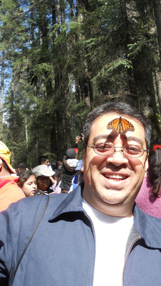 Disfruta esta maravilla! 🇲🇽 .Para reservar los tours👇 .Guarda este post paraorganizar tu próxima visita!www.alfredotourguide.mx alfredotourguide@gmail.comalfredotourguide @AlfredoTGCréditos: A sus autores_________________________When visiting Morelia ask for my tours on weekends with hashtag: #AlfredoTourGuide ______________________________Enjoy #gastronomytour 🇲🇽 .👉 Save this post toorganize your next tour to #Morelia!www.alfredotourguide.mx alfredotourguide@gmail.comCredits: Alfredo Tour Guide/authors .🦋 Patzcuaro Lake 🦋 Monarch Butterfly______________________