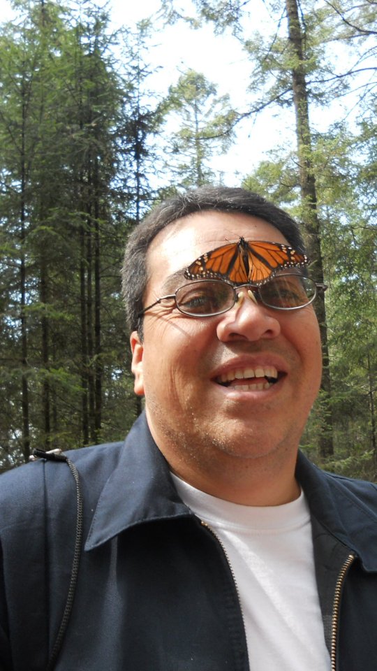 Enjoy the #monarchbutterflytour .👉 Save this post toorganize your next tour to #Morelia!www.alfredotourguide.mx alfredotourguide@gmail.comCredits: Alfredo Tour Guide/authors .🦋 Patzcuaro Lake 🦋 Monarch Butterfly______________________Para disfrutar los tours👇 .Guarda este post paraorganizar tu próxima visita!www.alfredotourguide.mx alfredotourguide@gmail.comalfredotourguide @AlfredoTGCréditos: A sus autores_________________________When visiting Morelia ask for my tours on weekends with hashtag: #AlfredoTourGuide