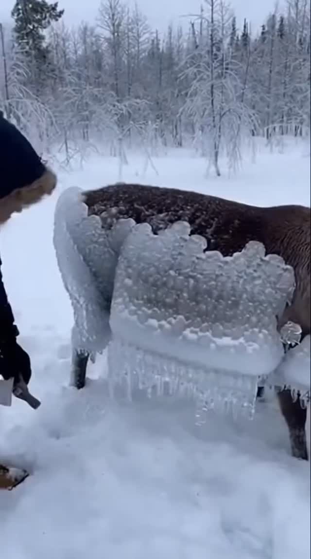 Enjoy #wintertime in Mexico 🇲🇽 .Enjoy #gastronomytour 🇲🇽 .👉 Save this post toorganize your next tour to #Morelia!www.alfredotourguide.mx alfredotourguide@gmail.comCredits: Alfredo Tour Guide/authors .🦋 Patzcuaro Lake 🦋 Monarch Butterfly______________________Para disfrutar los tours👇 .Guarda este post paraorganizar tu próxima visita!www.alfredotourguide.mx alfredotourguide@gmail.comalfredotourguide @AlfredoTGCréditos: A sus autores_________________________When visiting Morelia ask for my tours on weekends with hashtag: #AlfredoTourGuide