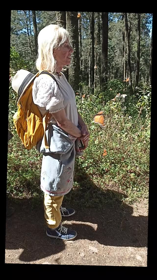 ✍️ Book here to watch monarchs 🦋 .Enjoy #gastronomytour 🇲🇽 .👉 Save this post toorganize your next tour to #Morelia!www.alfredotourguide.mx alfredotourguide@gmail.comCredits: Alfredo Tour Guide/authors .🦋 Patzcuaro Lake 🦋 Monarch Butterfly______________________Para disfrutar los tours👇 .Guarda este post paraorganizar tu próxima visita!www.alfredotourguide.mx alfredotourguide@gmail.comalfredotourguide @AlfredoTGCréditos: A sus autores_________________________When visiting Morelia ask for my tours on weekends with hashtag: #AlfredoTourGuide