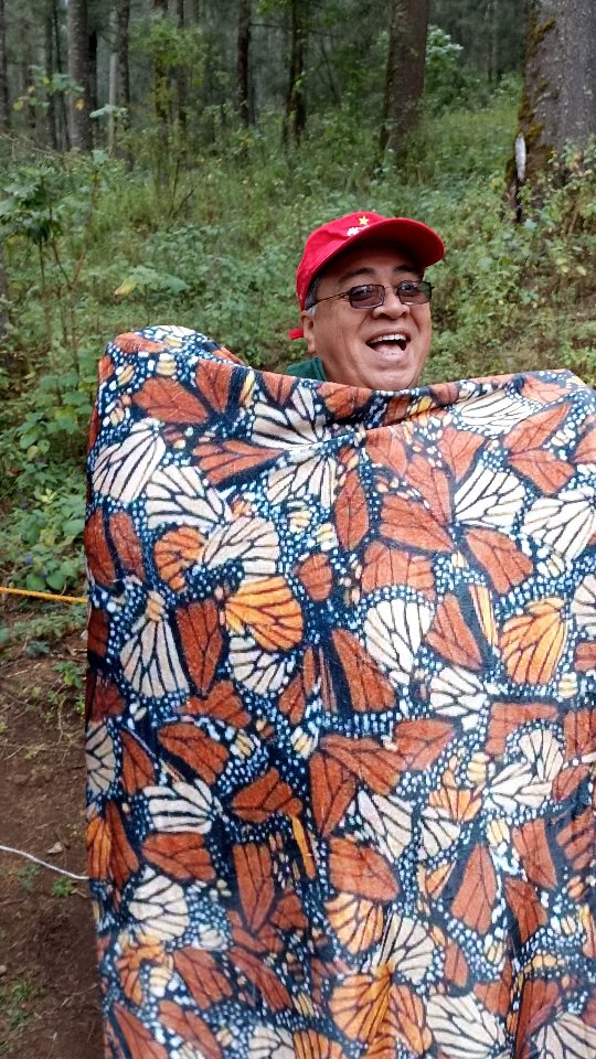 Gracias totales! 🦋 Feliz día del Guía! Happy international #TourGuideDay .Para disfrutar los tours👇 .Guarda este post paraorganizar tu próxima visita!www.alfredotourguide.mx alfredotourguide@gmail.comalfredotourguide @AlfredoTGCréditos: A sus autores_________________________When visiting Morelia ask for my tours on weekends with hashtag: #AlfredoTourGuide #exfluencer ______________________________Enjoy MEXICO 🇲🇽 ALL YEAR .👉 Save this post toorganize your next tour to Morelia!www.alfredotourguide.mx alfredotourguide@gmail.comCredits: Alfredo Tour Guide/authors .🦋 Patzcuaro Lake 🦋 Monarch Butterfly______________________