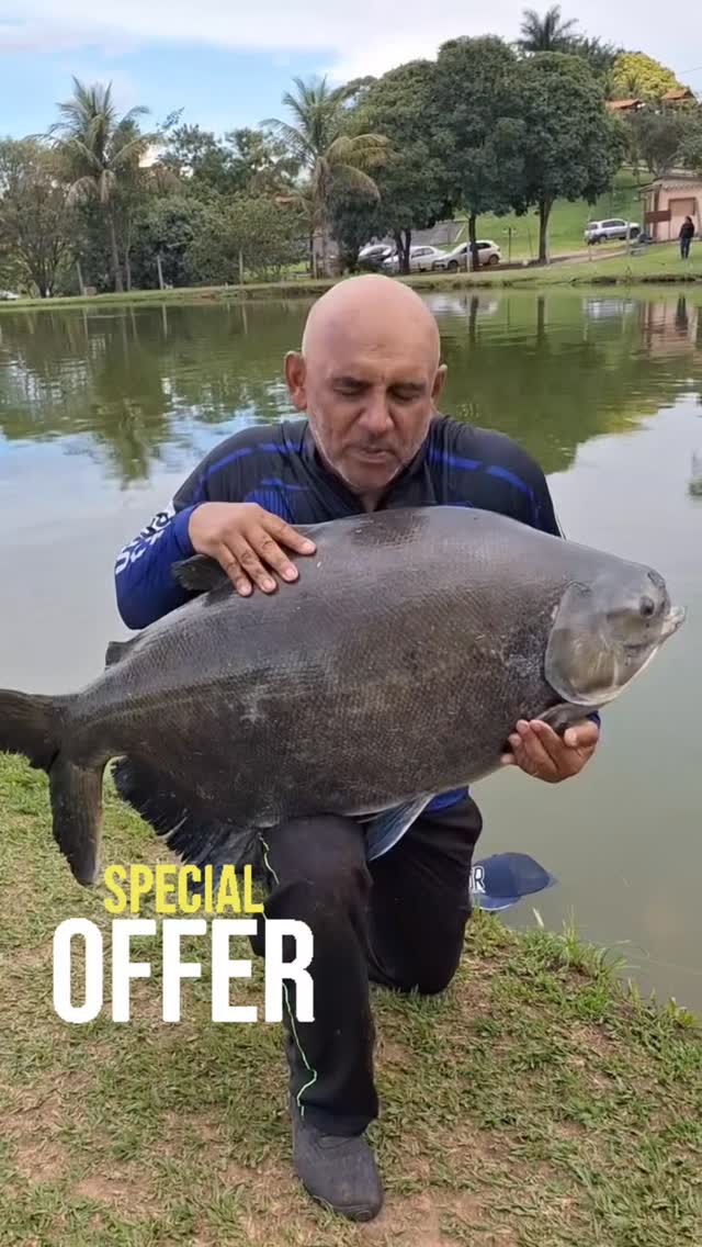 Book to #dayofthedeadtour this next May -2026 and get 10%off to NOV-1 🇲🇽.Enjoy gastronomy tour 🇲🇽 .👉 Save this post toorganize your next tour to Morelia!www.alfredotourguide.mx alfredotourguide@gmail.comCredits: Alfredo Tour Guide/authors .🦋 Patzcuaro Lake 🦋 Monarch Butterfly______________________Para disfrutar los tours👇 .Guarda este post paraorganizar tu próxima visita!www.alfredotourguide.mx alfredotourguide@gmail.comalfredotourguide @AlfredoTGCréditos: A sus autores_________________________When visiting Morelia ask for my tours on weekends with hashtag: #AlfredoTourGuide #exfluencer #realvideos imperfect content nostalgic authenticandrealistic realcontent nomakeupcontent ______________________________