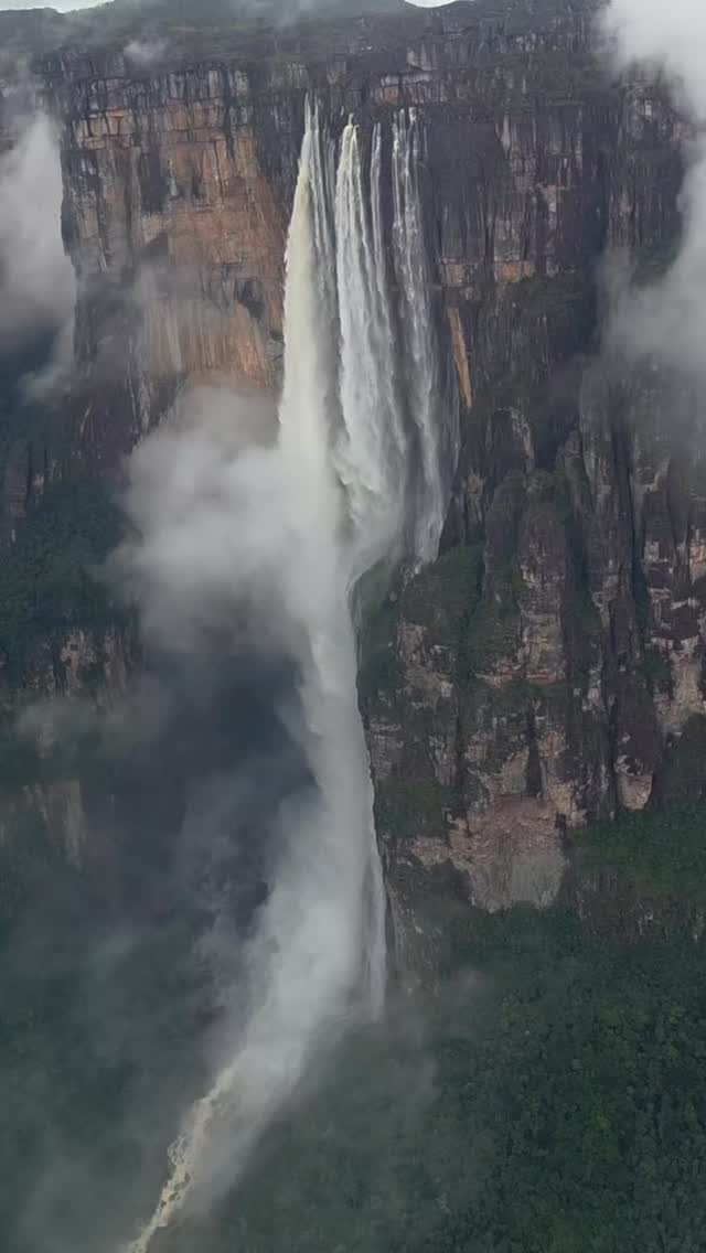 Did you go to Mexico? 🇲🇽 Not yet? 😃.Now that I have your attention... .👉 Save this post toorganize your next tour to #Morelia!www.alfredotourguide.mx alfredotourguide@gmail.comCredits: Alfredo Tour Guide/authors .🦋 Patzcuaro Lake 🦋 Monarch Butterfly______________________Para disfrutar los tours👇 .Guarda este post paraorganizar tu próxima visita!www.alfredotourguide.mx alfredotourguide@gmail.comalfredotourguide @AlfredoTGCréditos: A sus autores_________________________When visiting Morelia ask for my tours on weekends with hashtag: #AlfredoTourGuide #exfluencer #realvideos #imperfect content nostalgic authenticandrealistic realcontent nomakeupcontent ______________________________