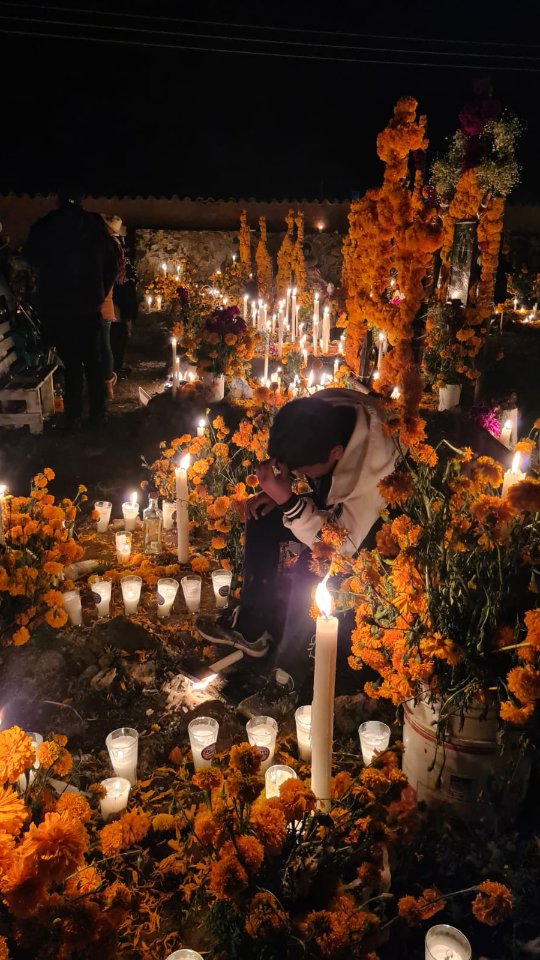 Book now! To #Patzcuaro 🇲🇽 .Enjoy the #dayofthedeadtour 🇲🇽 .👉 Save this post toorganize your next tour to #Morelia!www.alfredotourguide.mx alfredotourguide@gmail.comCredits: Alfredo Tour Guide/authors .🦋 Patzcuaro Lake 🦋 Monarch Butterfly______________________Para disfrutar los tours👇 .Guarda este post paraorganizar tu próxima visita!www.alfredotourguide.mx alfredotourguide@gmail.comalfredotourguide @AlfredoTGCréditos: A sus autores_________________________When visiting Morelia ask for my tours on weekends with hashtag: #AlfredoTourGuide realvideos imperfect content nostalgic authenticandrealistic realcontent nomakeupcontent ______________________________