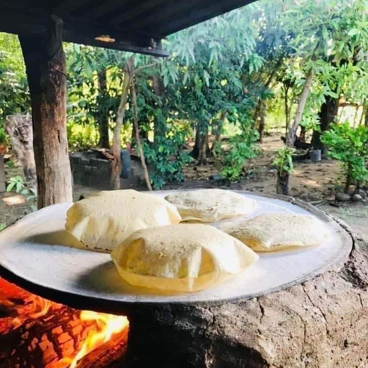 YA NO VAYAS A JANITZIO! 😮 Para disfrutar de un agradable paseo en lancha y unos taquitos de charales con tortillas del comal, ya no es necesario ir a la isla de #Janitzio .Ahora en el #muellesanpedrito puedes disfrutar de este nuevo atractivo turístico: #navegaconelalma en el #lagodepátzcuaro 😊 https://www.instagram.com/reel/DcjlP4ylJ9b/?utm_source=ig_web_copy_link&igsi=NTc4MTIwNjQ2YQ== .Créditos a sus autores.