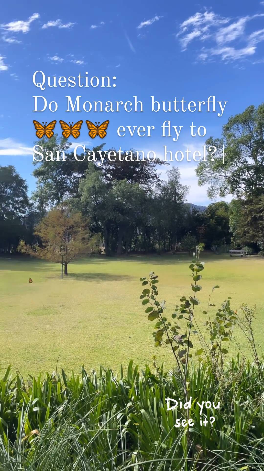 Monarch butterfly tour (Morelia) Alfredo Tour Guide