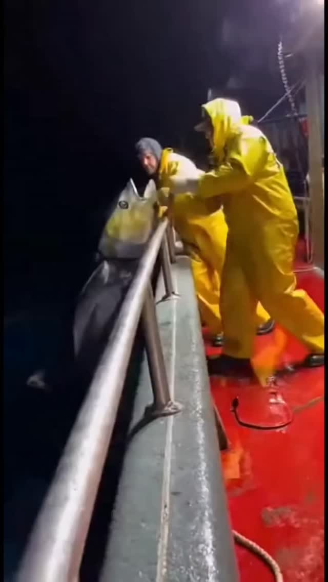 Catch the #specialoffer this next #holyweek in Morelia, Mexico 🇲🇽 ...Enjoy #patzcuaroexpresstour 🇲🇽 .👉 Save this post toorganize your next tour to Morelia!www.alfredotourguide.mx alfredotourguide@gmail.comCredits: Alfredo Tour Guide/authors .🦋 Patzcuaro Lake 🦋 Monarch Butterfly______________________Para disfrutar los tours👇 .Guarda este post paraorganizar tu próxima visita!www.alfredotourguide.mx alfredotourguide@gmail.comalfredotourguide @AlfredoTGCréditos: A sus autores_________________________When visiting Morelia ask for my tours on weekends with hashtag: #AlfredoTourGuide exfluencer realvideos imperfect content nostalgic authenticandrealistic realcontent nomakeupcontent ______________________________