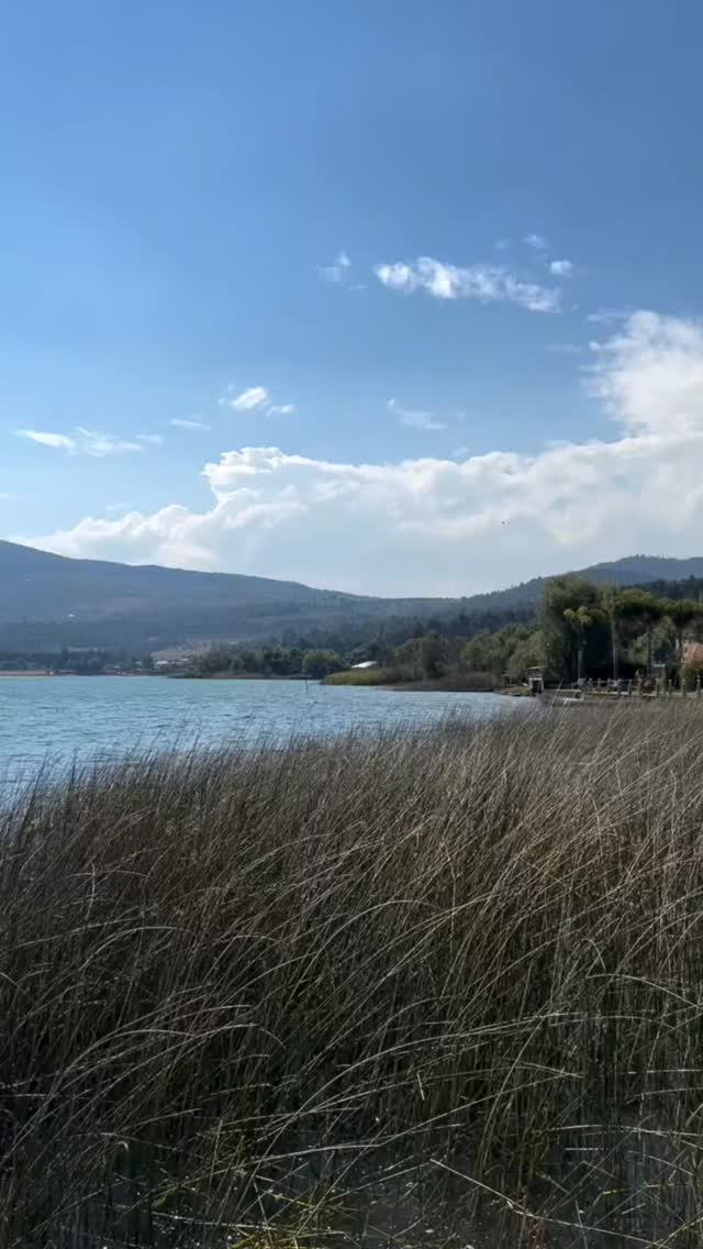 Zirahuén es mejor para visitar en la temporada de primavera - verano 🇲🇽 .Para disfrutar los tours👇 .Guarda este post paraorganizar tu próxima visita!www.alfredotourguide.mx alfredotourguide@gmail.comalfredotourguide @AlfredoTGCréditos: A sus autores_________________________When visiting Morelia ask for my tours on weekends with hashtag: #AlfredoTourGuide #exfluencer #realvideos #imperfect #content nostalgic authenticandrealistic realcontent nomakeupcontent ______________________________Enjoy gastronomytour 🇲🇽 .👉 Save this post toorganize your next tour to Morelia!www.alfredotourguide.mx alfredotourguide@gmail.comCredits: Alfredo Tour Guide/authors .🦋 Patzcuaro Lake 🦋 Monarch Butterfly______________________