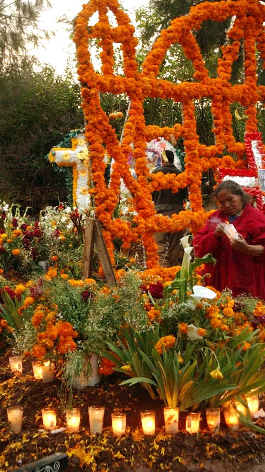Book #dayofthedeadtour 🇲🇽 .👉 Save this post toorganize your next trip to #patzcuaropueblomagicowww.alfredotourguide.mx alfredotourguide@gmail.comCredits: Alfredo Tour Guide/authors .🦋 Patzcuaro Lake 🦋 Monarch Butterfly 🦋 Day of the Dead ______________________Para disfrutar los tours👇 .Guarda este post paraorganizar tu próxima visita!www.alfredotourguide.mx alfredotourguide@gmail.comalfredotourguide @AlfredoTGCréditos: A sus autores_________________________When visiting Morelia ask for my tours on weekends with hashtag: #AlfredoTourGuide #patzcuaroexpresstour______________________________