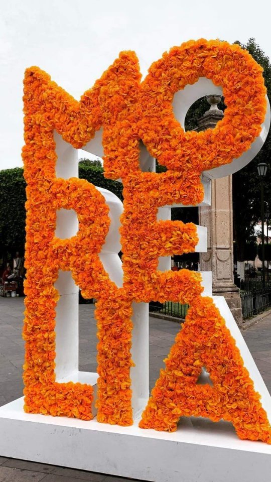 Last time you ate tacos was? .👉 Save this post toorganize your next tour to #Morelia!www.alfredotourguide.mx alfredotourguide@gmail.comCredits: Alfredo Tour Guide/authors #alfredotourguide.#tourswithalfredo #itsalfredo #privateguide #privatetours #kuinchekua #mariposas #KuinchekuaTours #Cuitzeo#Patzcuaro #Tzintzuntzan #Tlalpujahua #PatzcuaroLake #MonarchButterfly 🦋🦋 ______________________.Guarda este post paraorganizar tu próxima visita!www.alfredotourguide.mx alfredotourguide@gmail.com#alfredotourguide @AlfredoTGCréditos: A sus autores_________________________When visiting Morelia ask for my tours on weekends with hashtags: #soymigrante #paisanomichoacano#Mexico #backtomexico #backtoMorelia #Michoacan______________________________