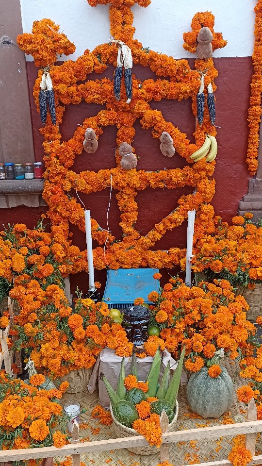 Day of the Dead celebration 🇲🇽 .👉 Save this post toorganize your next tour to #Morelia!www.alfredotourguide.mx alfredotourguide@gmail.comCredits: Alfredo Tour Guide/authors #alfredotourguide.#tourswithalfredo #itsalfredo #privateguide #privatetours #kuinchekua #mariposas #KuinchekuaTours #Cuitzeo#Patzcuaro #Tzintzuntzan #Tlalpujahua #PatzcuaroLake #MonarchButterfly 🦋______________________.Guarda este post paraorganizar tu próxima visita!www.alfredotourguide.mx alfredotourguide@gmail.com#alfredotourguide @AlfredoTGCréditos: A sus autores_________________________When visiting Morelia ask for my tours on weekends with hashtags: #soymigrante #paisanomichoacano#Mexico #backtomexico #backtoMorelia #Michoacan______________________________