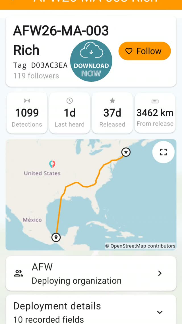 😱 COMO LO SABEN⁉️ .Los científicos, los voluntarios, los protectores de la tierra y de la naturaleza ya están usando esta App 👇 #ProjectMonarch y tu? #BlüMorpho cuál estás usando? 😅 .https://www.facebook.com/share/p/1Dpz13rNPY/ .Cuando puedas visitar el Santuario El Rosario de la Mariposa Monarca puedes traer en tu #smartphone ésta aplicación y descubrir de dónde vienen las mariposas que estás observando! 🥹 .📸 Créditos: Alfredo Tour Guide .Who's up to #trackingmonarchs ⁉️ ...More 👇 alfredotourguide@gmail.com
